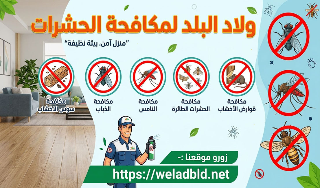 مكافحة ذباب الفاكهة